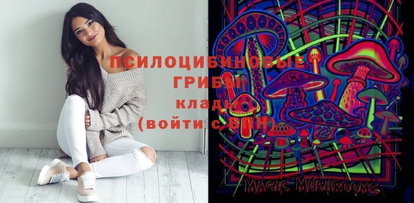 гашик Абинск