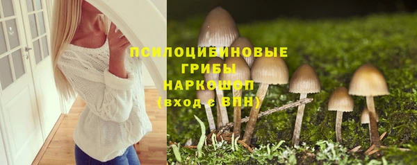 mix Алексин