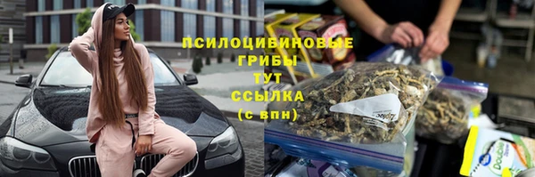 гашик Алексеевка