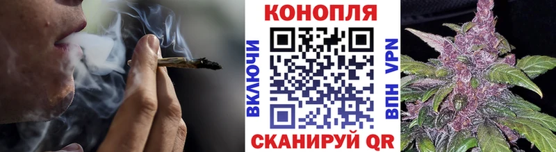 Шишки марихуана план Поворино